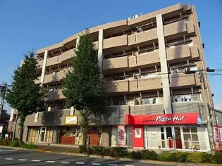 プラシード輝の画像