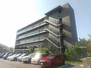 STAR PEARの画像