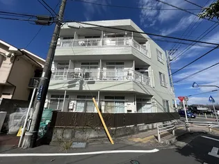 グリーンマンションの画像