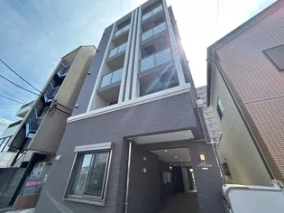 アリウムの画像