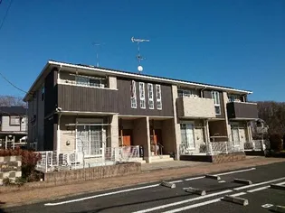 コート ワンの画像