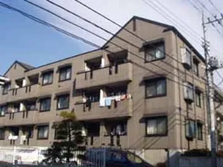 シルクトゥリーAの画像