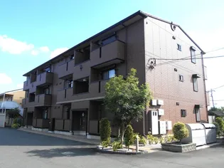 フォレスト タツイの画像