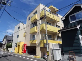 アルファライフの画像