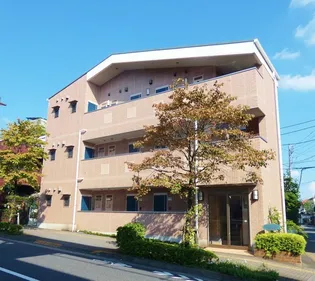 セビラーナの画像