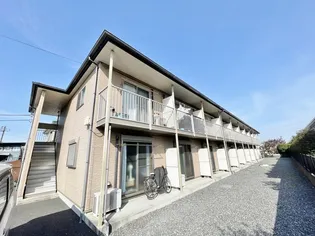 アムール花水木の画像