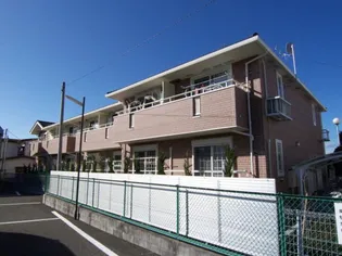 ファインコートの画像