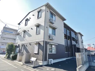 シーク カシワの画像