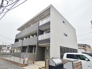 プラシードの画像