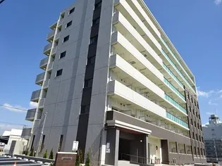 カーサ ル コットンの画像