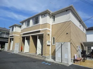 アムールの画像