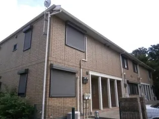 ベリーコートの画像