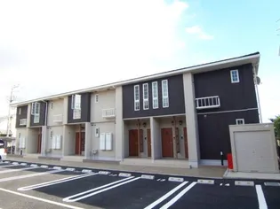 プリムローズの画像