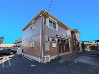 アクジスの画像