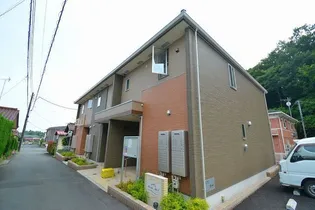 プラシードアルバVの画像