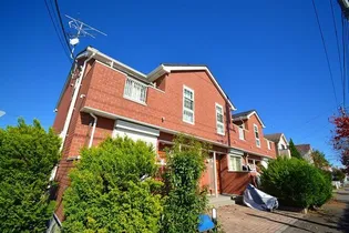 ヴィーヴル ローマIIの画像