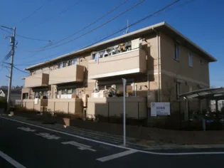 さくらの画像