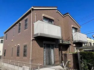 マトリカリアの画像