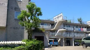 エルムコート【1階】の外観