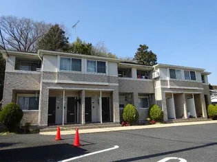 ベリテ レゾンの画像