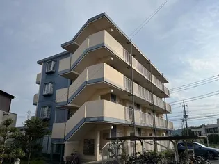 リヴェールパオの画像