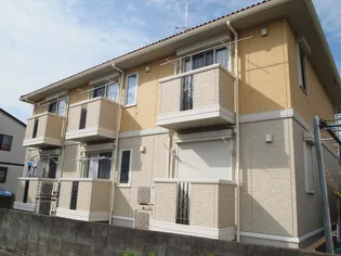 メゾンルミエールの画像