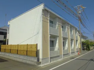 レオネクストサンフラワーの画像