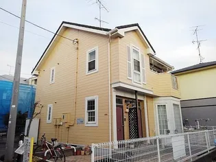 アンソレイニの画像