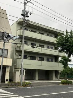 ヒゲナカビルの画像