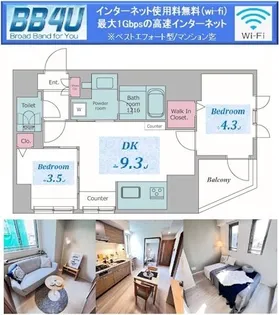 東京都文京区湯島2丁目【マンション】の間取り