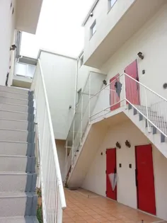 カラクムアチェリアの画像