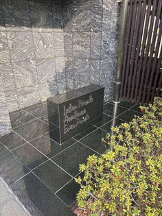 レーベンリヴァーレ浅草エヴァープライドの画像