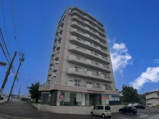 大通南2マンションの画像