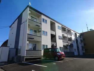 トレントの画像