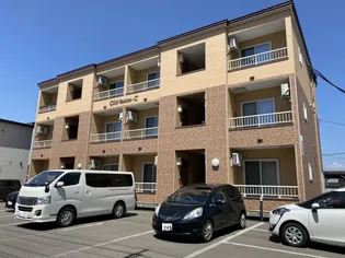 シェルメゾンCの画像