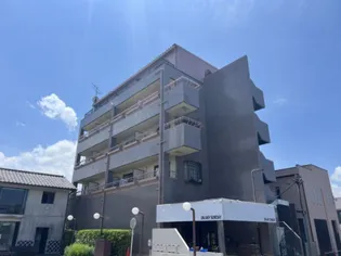 キャピタル壱番館の画像