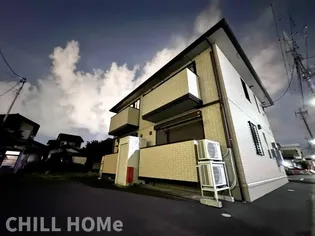 アムールCの画像