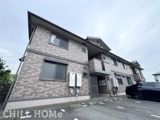 プラシードの画像