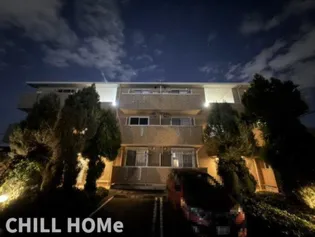 フローラM IIの画像