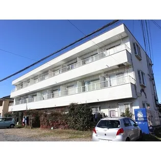 ベリエオオタの画像