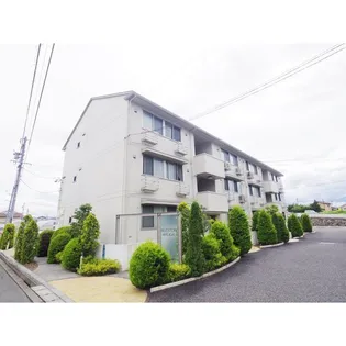 BLESTON ARUGAの画像