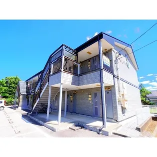 SURPLUS ONE LILASIIの画像