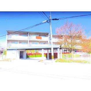 桜エステートの画像