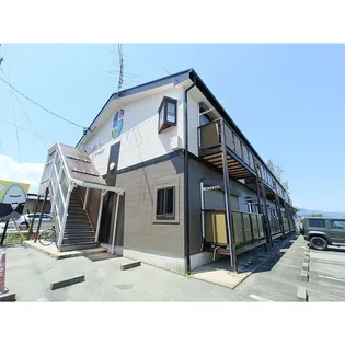 SURPLUS TWOパーシモンの画像
