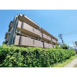 ブール ド ネージュの画像