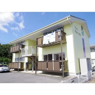 SURPLUS GRAPE HILLSの画像