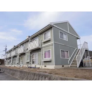ブラボー50 NO 17の画像