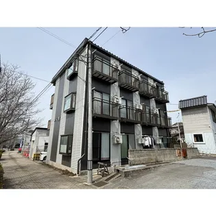 ドリームMの画像
