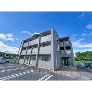 アンジュの画像