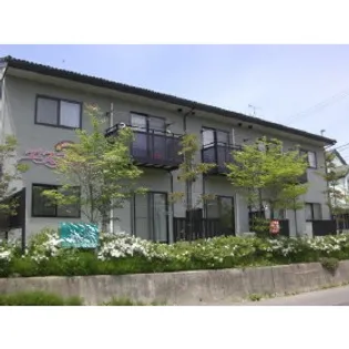 エステーラの画像